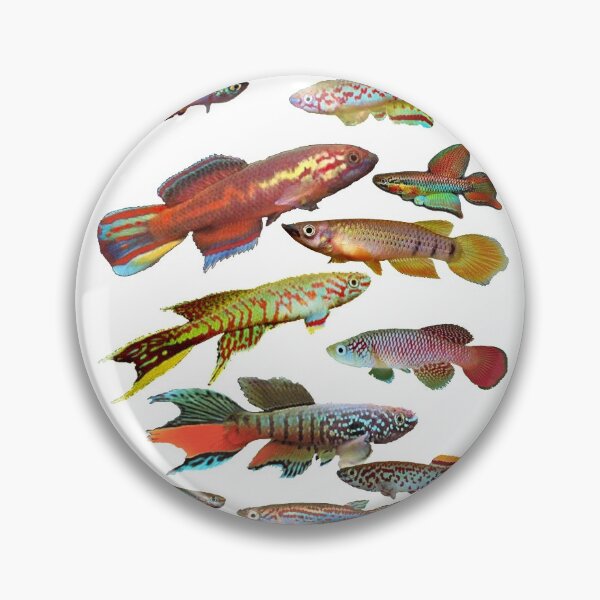 Item preview, African Killifish Multi-Fish Pattern designed and sold by killies.