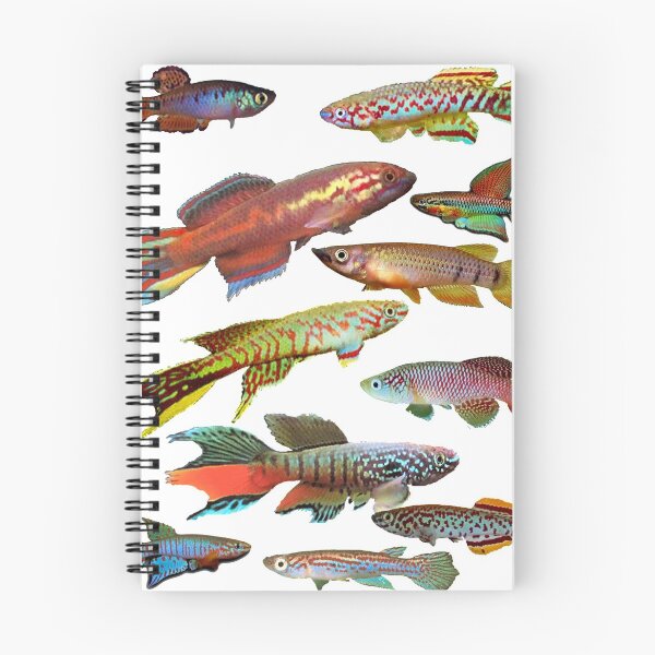 Item preview, African Killifish Multi-Fish Pattern designed and sold by killies.
