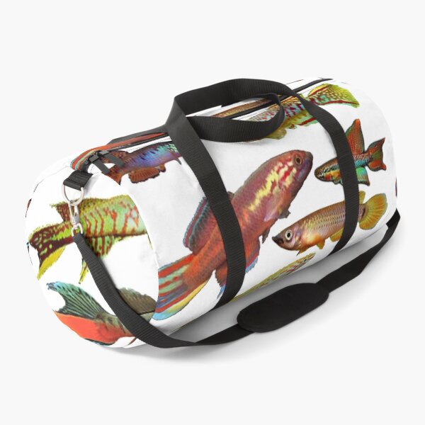 Item preview, African Killifish Multi-Fish Pattern designed and sold by killies.