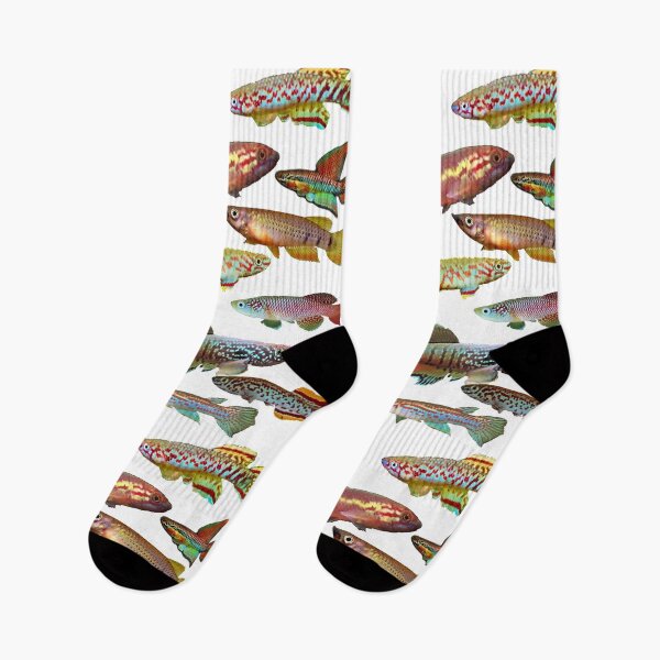 Item preview, African Killifish Multi-Fish Pattern designed and sold by killies.