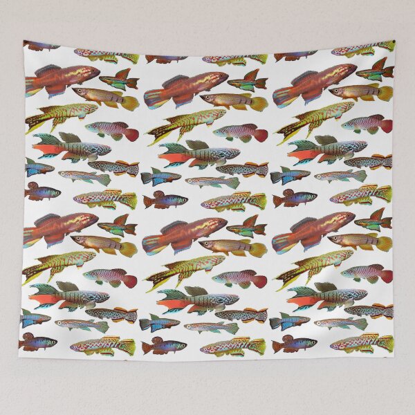 Item preview, African Killifish Multi-Fish Pattern designed and sold by killies.