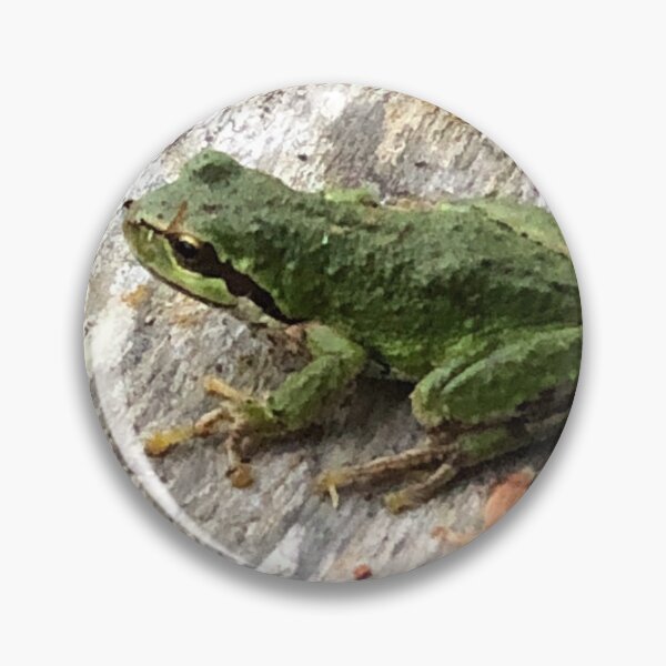 Item preview, Froggy  designed and sold by FridayHarborMan.