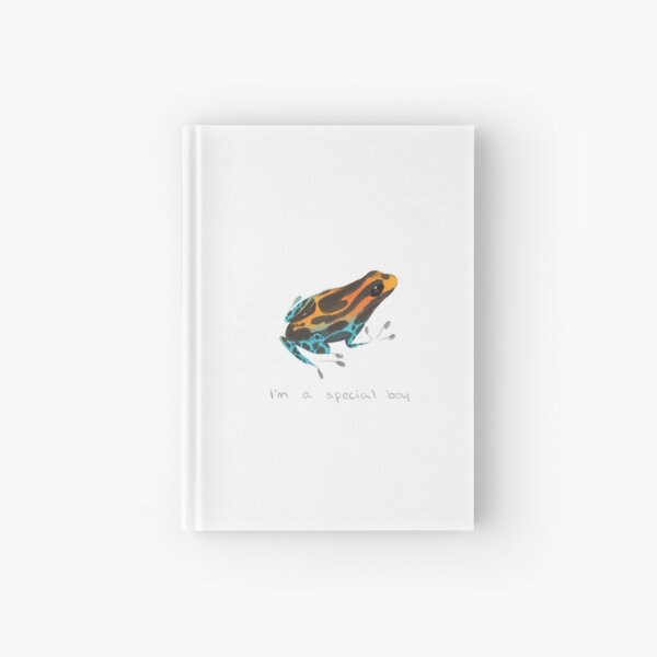 Special Boy Hardcover Journal