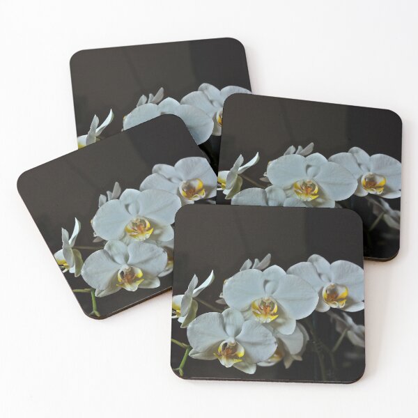 Item preview, White Phalaenopsis Orchid designed and sold by Cars around Adelaide.