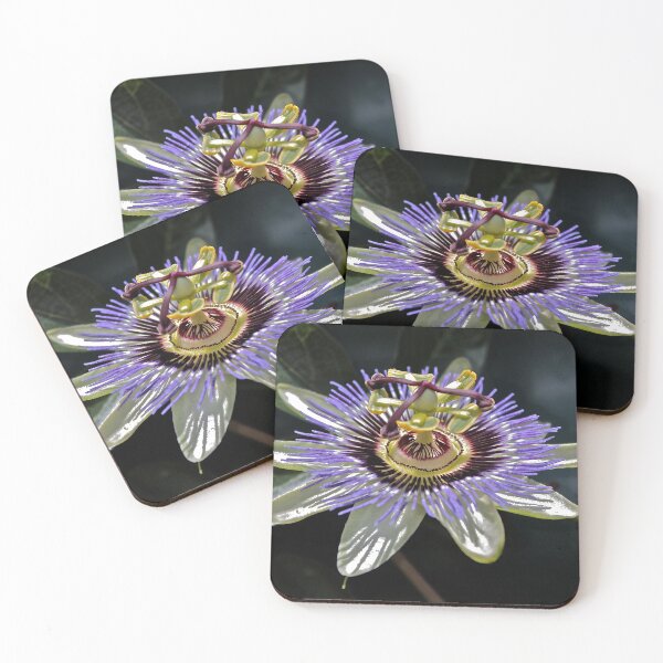 Item preview, Passionfruit Flower designed and sold by Cars around Adelaide.
