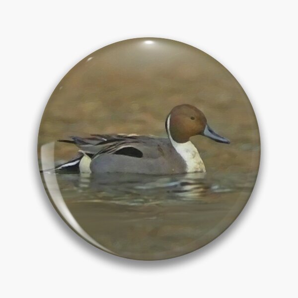 Item preview, Northern pintail designed and sold by Guardi71.