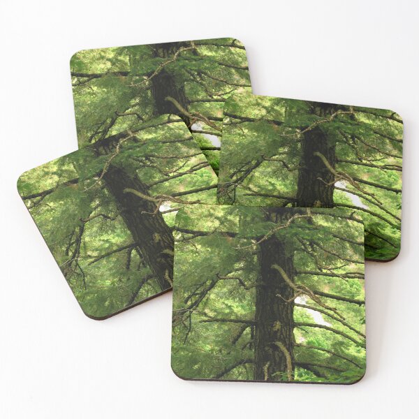 Item preview, Scenic mountain beauty with wild plants, trees, blue skies and clouds designed and sold by Ventures1.