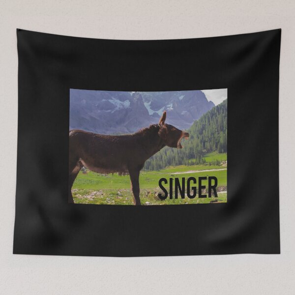 Item preview, Slightly wrong -Singer designed and sold by IgaBarClay.
