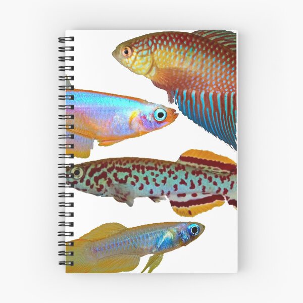 Item preview, Killifish Multi Pattern with Gardneri designed and sold by killies.