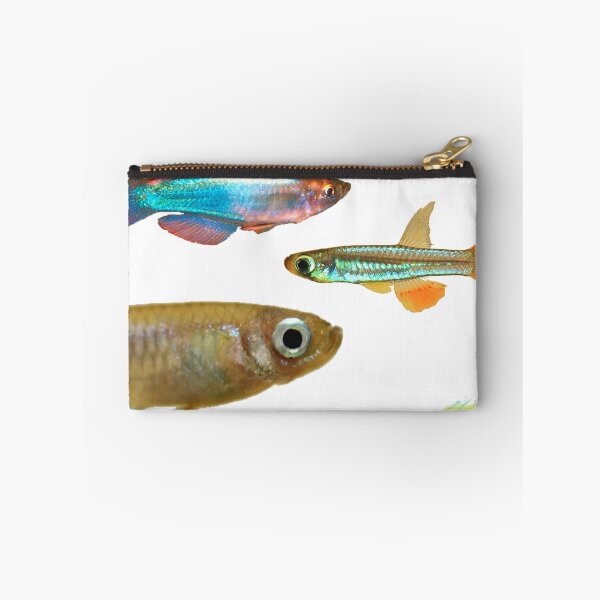 Item preview, Lampeyes Killifish designed and sold by killies.