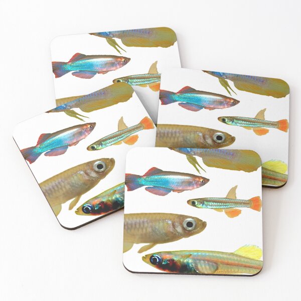 Item preview, Lampeyes Killifish designed and sold by killies.