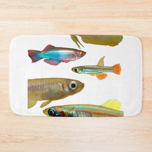 Item preview, Lampeyes Killifish designed and sold by killies.