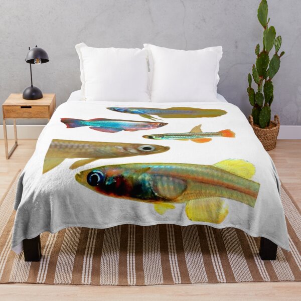 Item preview, Lampeyes Killifish designed and sold by killies.