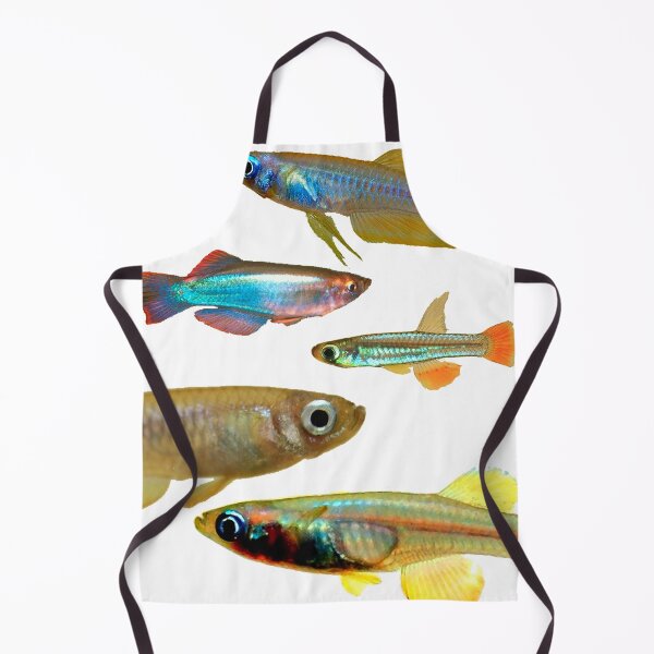 Item preview, Lampeyes Killifish designed and sold by killies.