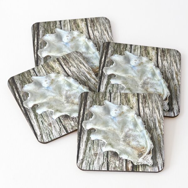 Item preview, It was a good oyster designed and sold by Christine Sternfels.