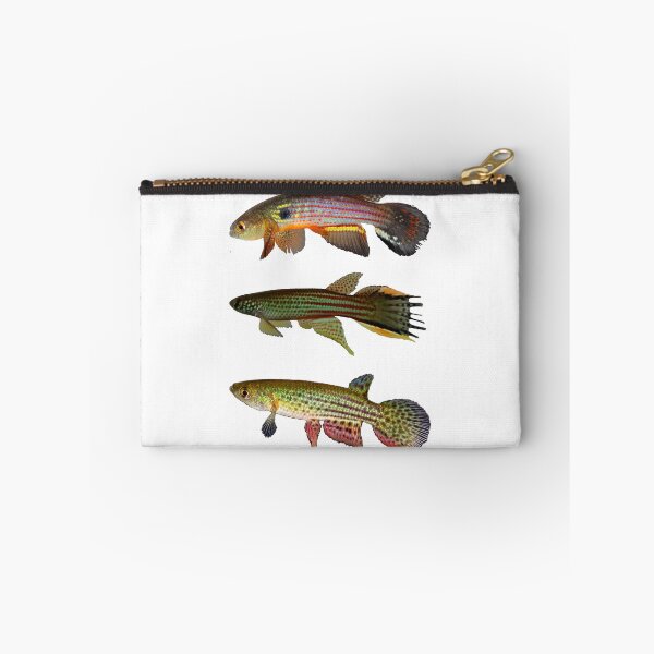 Item preview, Annual Killifish designed and sold by killies.