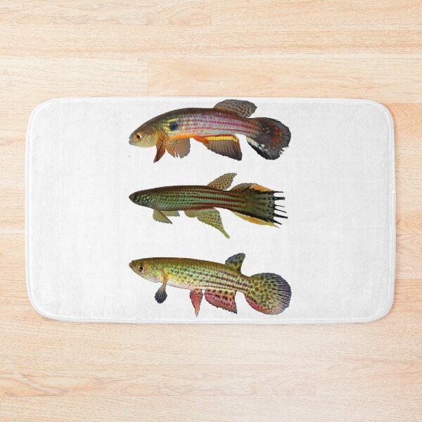 Item preview, Annual Killifish designed and sold by killies.