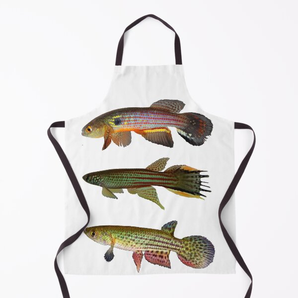 Item preview, Annual Killifish designed and sold by killies.
