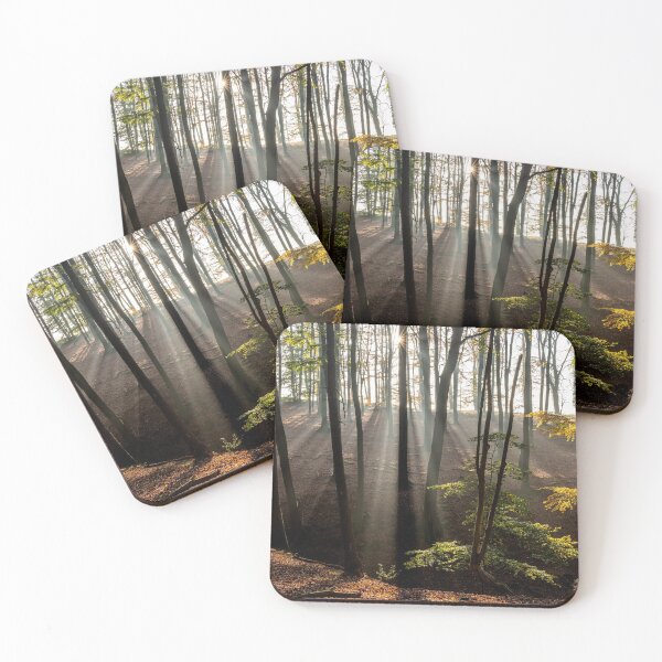 Item preview, Sun rays in the forest designed and sold by reisefoto.