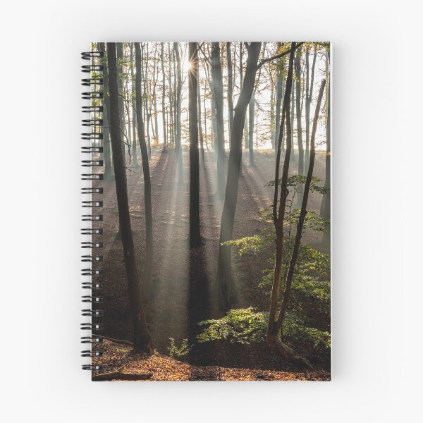 Item preview, Sun rays in the forest designed and sold by reisefoto.