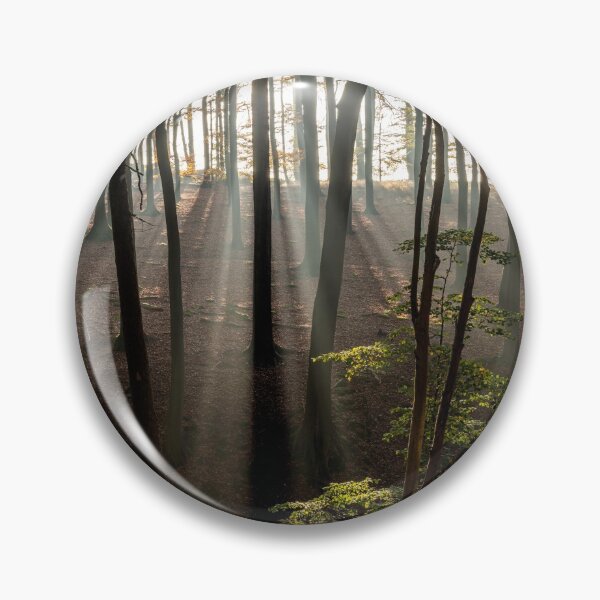 Item preview, Sun rays in the forest designed and sold by reisefoto.