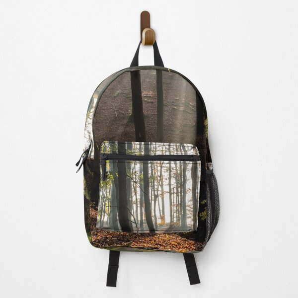 Item preview, Sun rays in the forest designed and sold by reisefoto.