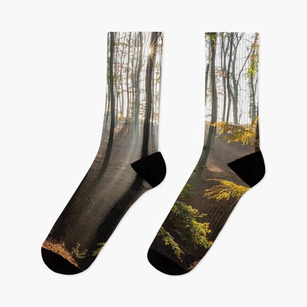 Item preview, Sun rays in the forest designed and sold by reisefoto.