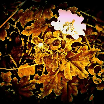 Artwork thumbnail, Sudden New Life by Andy Rhodes Art