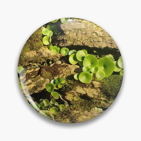 Artikelvorschau, Seltsame Vegetation entworfen und verkauft von KNBS.