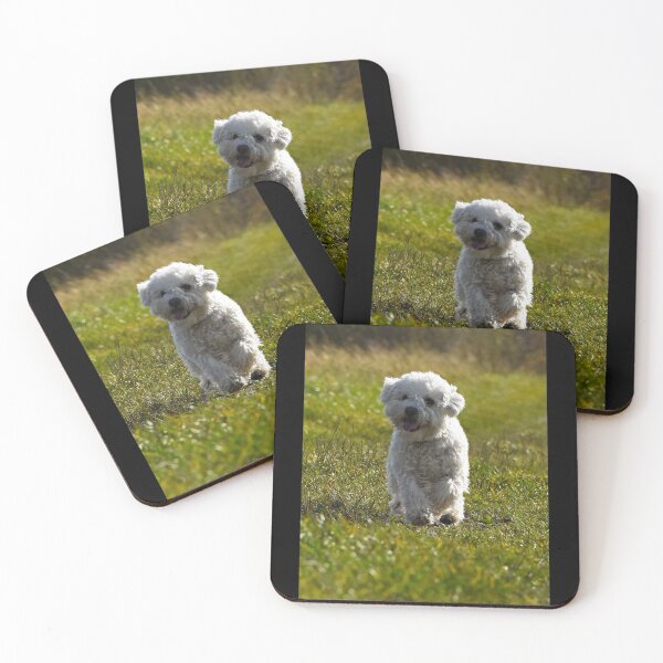 Item preview, Happy dog on a walk designed and sold by Mii-pics.