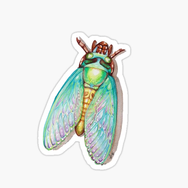 The cicada Sticker