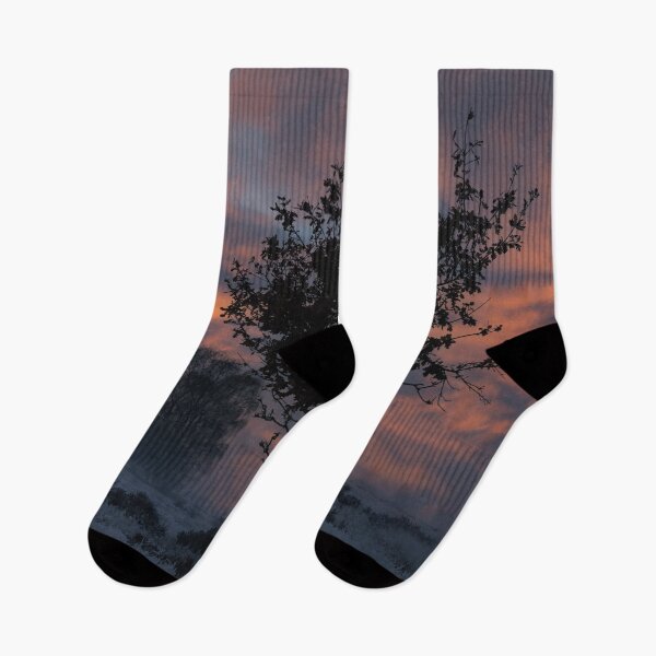 Item preview, Frosty Sunrise At Chasewater Country Park designed and sold by rawshutterbug.