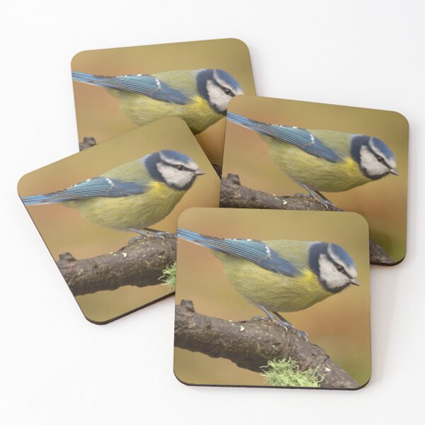 Item preview, Blue Tit designed and sold by Macrae images.