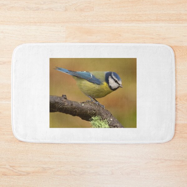 Item preview, Blue Tit designed and sold by Macrae images.