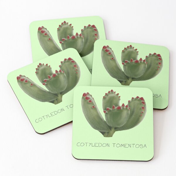 Item preview, Bear paw cactus Genus Print designed and sold by DesignsBySaxton.