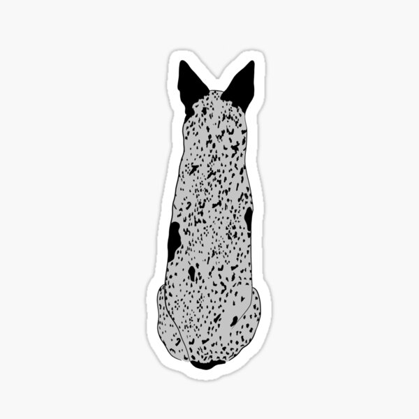 Blue Heeler Illustration Sticker