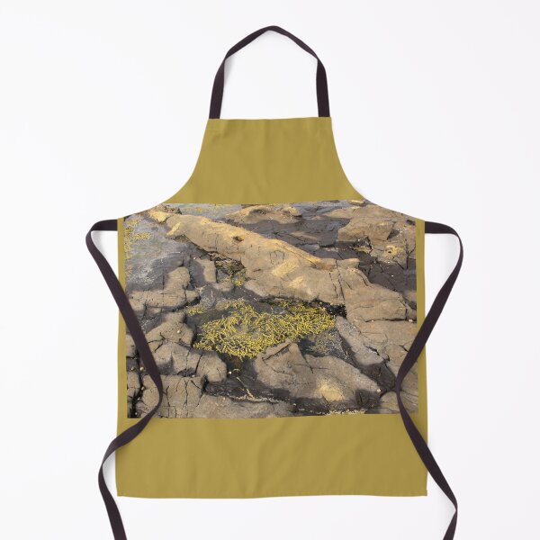Item preview, Rock Pool at Fossil Forest designed and sold by coffeebean.