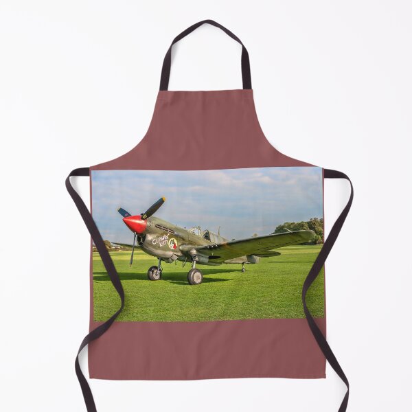 Item preview, Curtiss P-40M Warhawk 43-5802 G-KITT designed and sold by Colin Smedley.