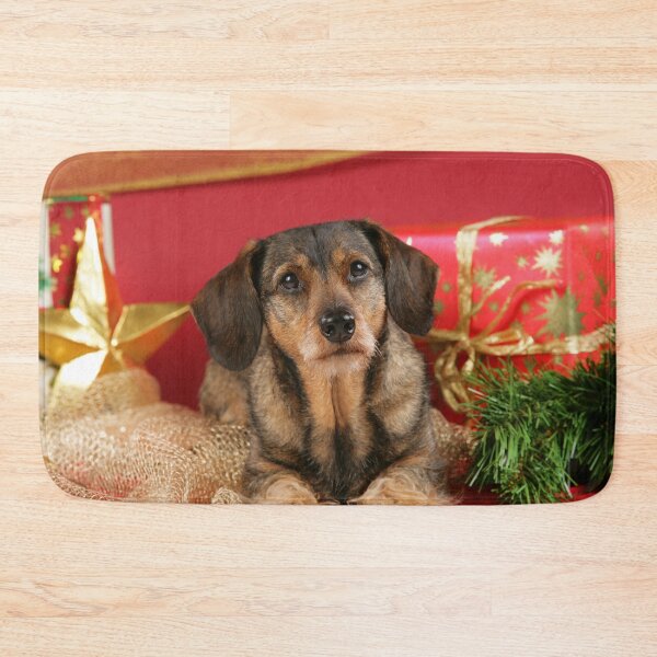 Item preview, Sweet wire-haired dachshund dog wishes Merry Christmas designed and sold by Toffy2222.