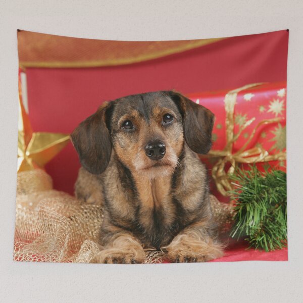 Item preview, Sweet wire-haired dachshund dog wishes Merry Christmas designed and sold by Toffy2222.