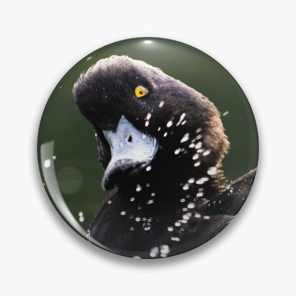 Item preview, Tufted Duck Tossing Up Water designed and sold by Ryan  Ten.