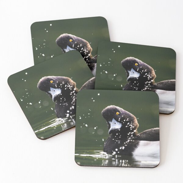 Item preview, Tufted Duck Tossing Up Water designed and sold by Ryan  Ten.