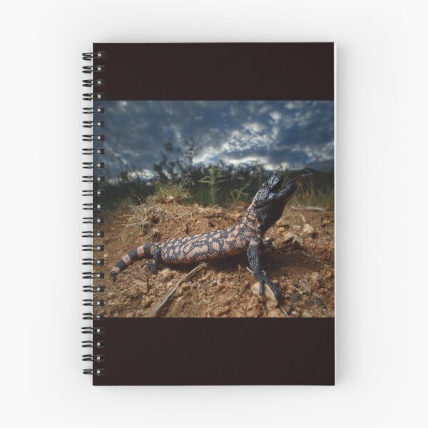Artikelvorschau, Gila Monster (Heloderma verdächtig) entworfen und verkauft von CJHay.