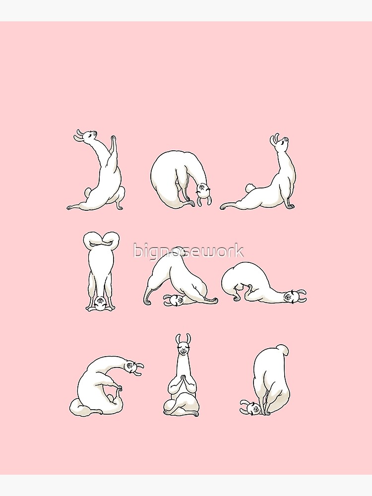 Yoga LLama in Pink by bignosework