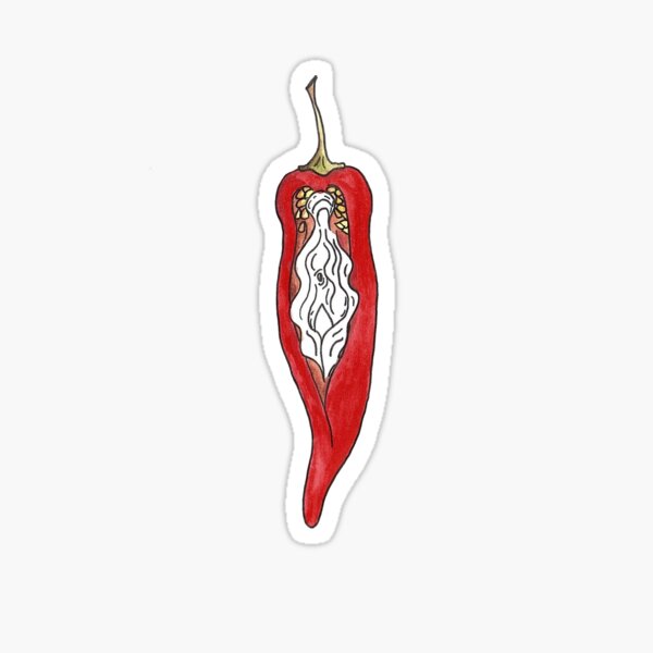 Red Hot Chili Vulva Sticker