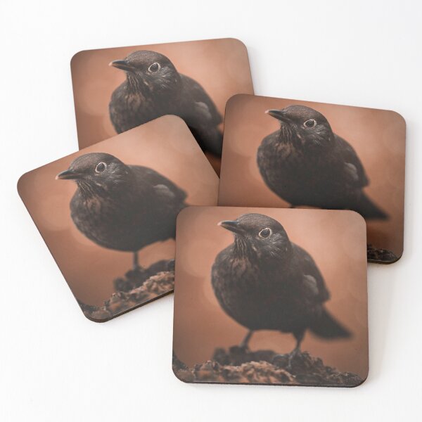 Item preview, Blackbird in Autumn Mood designed and sold by Kipcio.
