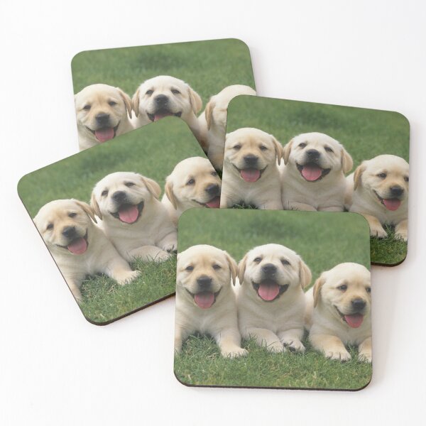Item preview, Three labrador retriever puppy dogs are lying in a meadow designed and sold by Toffy2222.