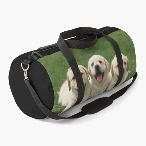 Item preview, Three labrador retriever puppy dogs are lying in a meadow designed and sold by Toffy2222.