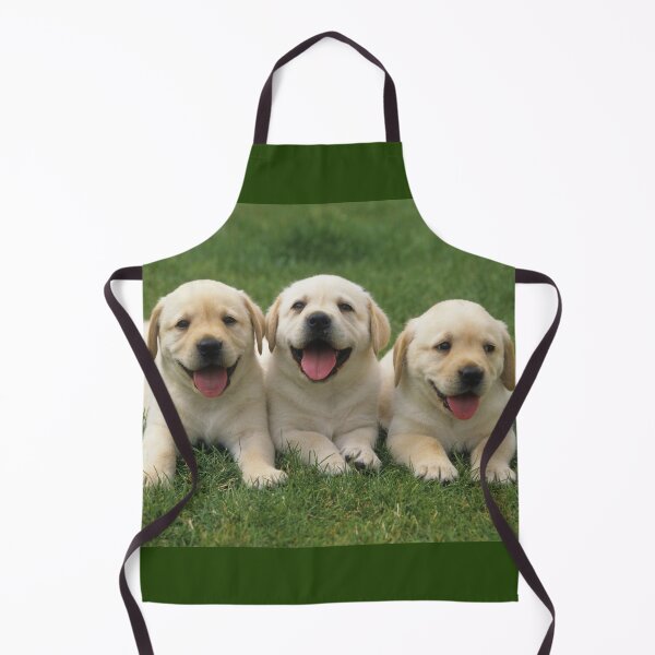 Item preview, Three labrador retriever puppy dogs are lying in a meadow designed and sold by Toffy2222.