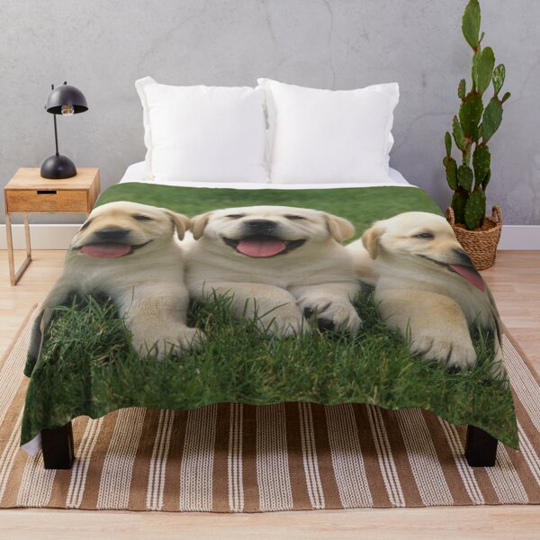 Item preview, Three labrador retriever puppy dogs are lying in a meadow designed and sold by Toffy2222.